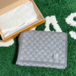 Louis Vuitton Neo Petit Damier Grey Scarf