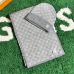 Louis Vuitton Neo Petit Damier Grey Scarf - Image 2