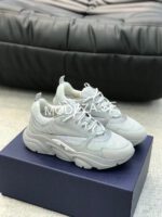 Christian Dior B20 Grey Sneakers