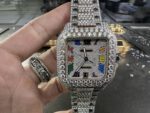Cartier Santos Ice Watch