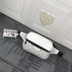 Louis Vuitton Monogram Eclipse Outdoor Bumbag
